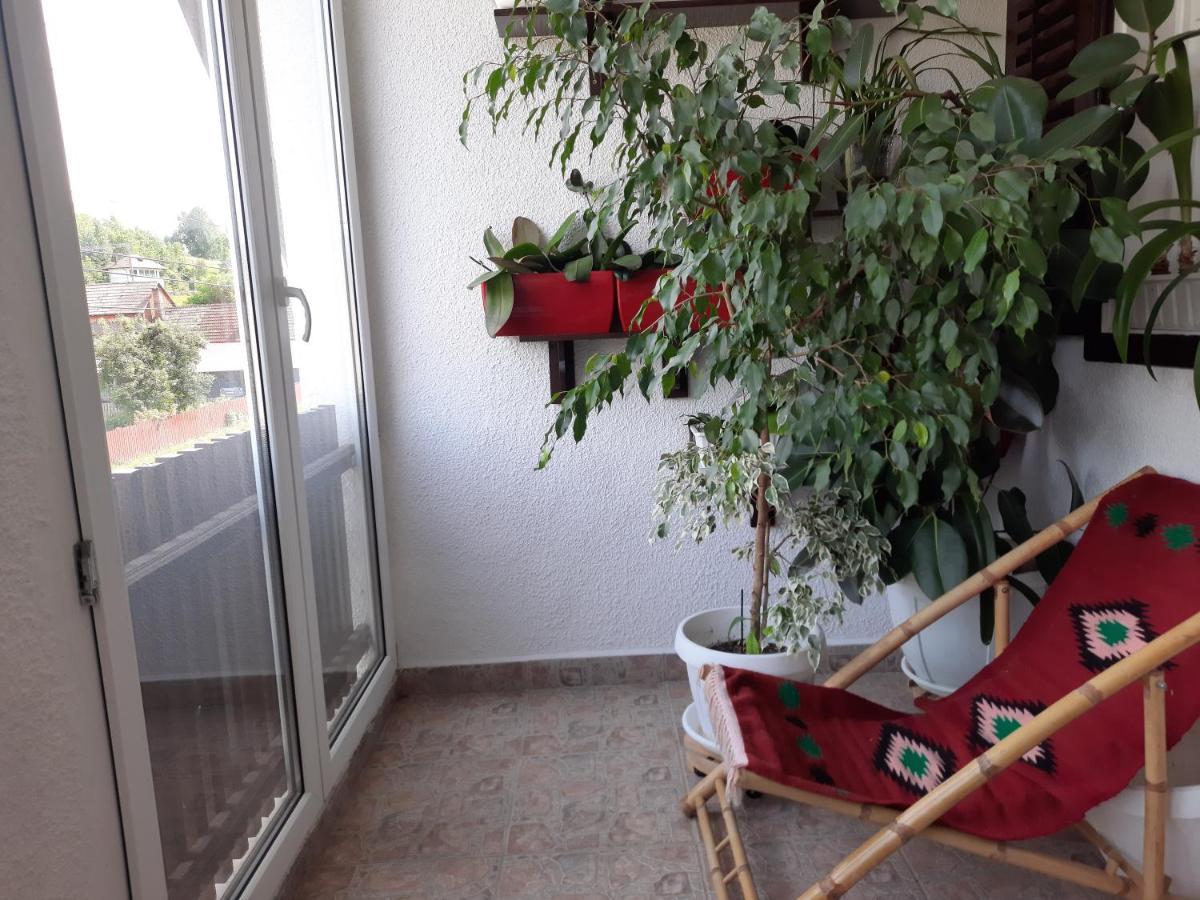Antal Apartmans Lunca De Sus Kulcsoshaz Gyimesfelsolok 外观 照片