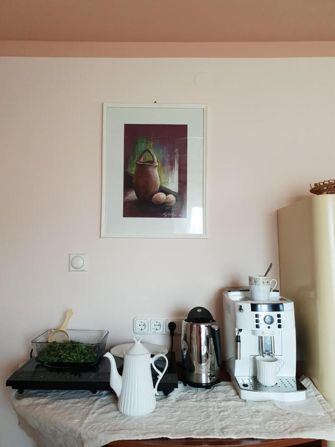 Antal Apartmans Lunca De Sus Kulcsoshaz Gyimesfelsolok 外观 照片